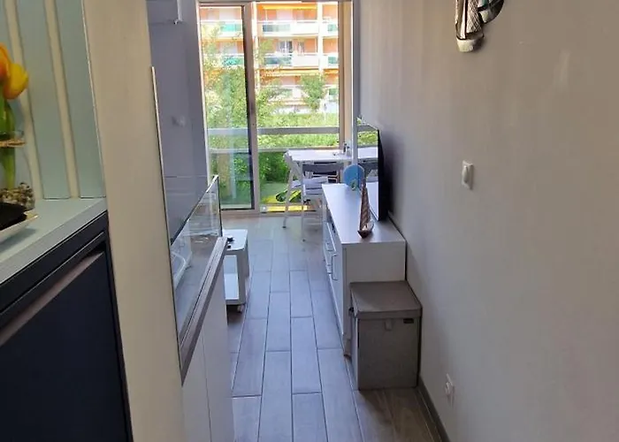 Joli Refait A Neuf * ボルム・レ・ミモザ